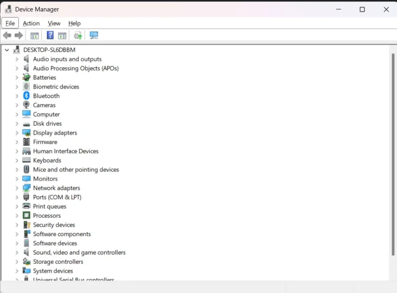 Display adapter option in device manager
